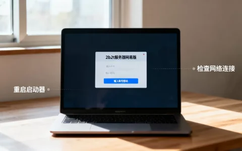 2b2t服务器网易版电脑版怎么进，进不去怎么办