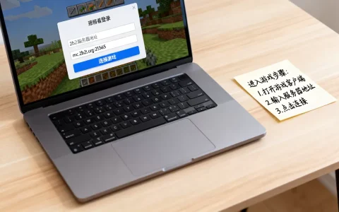 2b2t的服务器地址是多少？，怎么进入游戏