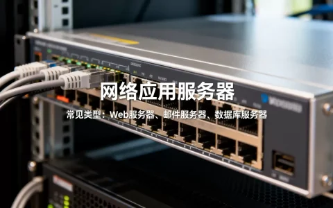 网络应用服务器具体指什么,常见的网络应用服务器有哪些