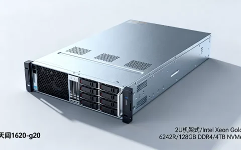 天阔1620-g20服务器多少钱一台？，性价比高吗？
