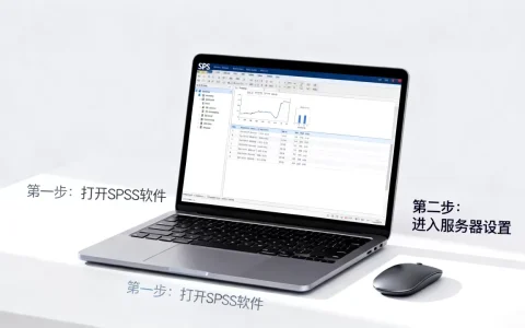 SPSS服务器登录本地计算机如何取消，怎么解决？