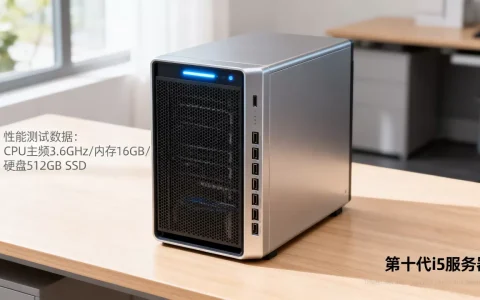 金华第十代i5服务器性能怎么样，值得买吗