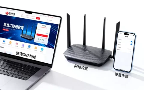 黑龙江联通DNS服务器地址在哪里查，怎么设置