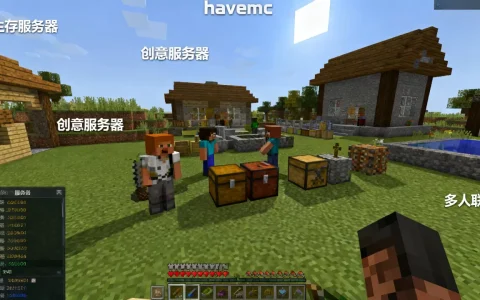 havemc中的游戏哪些服务器有