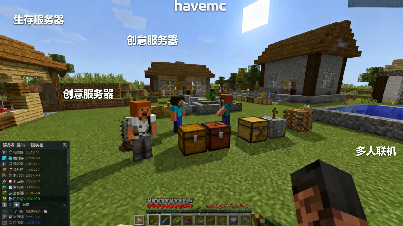 havemc中的游戏哪些服务器有 havemc中的游戏哪些服务器有