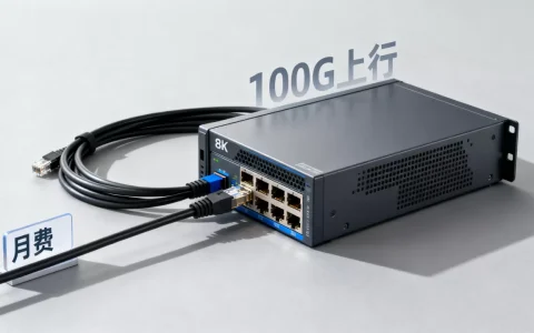 服务器100G上行速度多少钱一个月，哪家便宜？