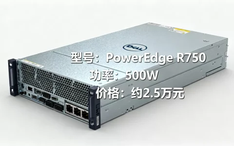 戴尔机架式服务器到底多少瓦，多少钱一台