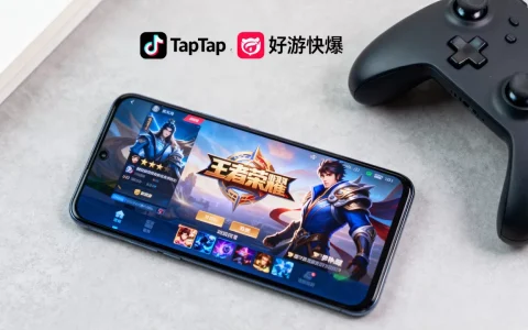 国内服务器app游戏有哪些好玩的，哪个平台好？