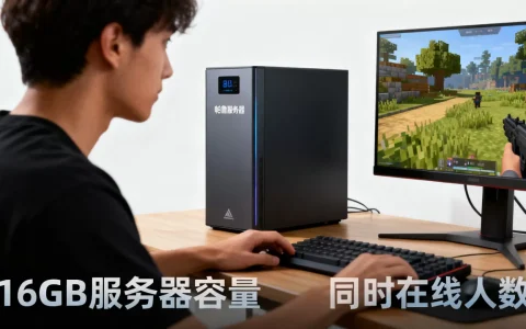 帕鲁服务器16个g多少人玩