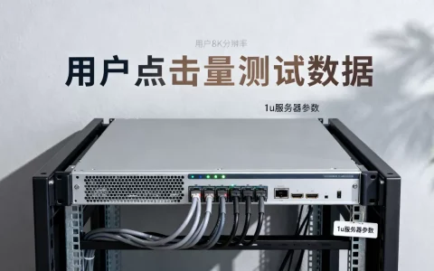 1u服务器究竟能支持多少用户点击？,怎么选？