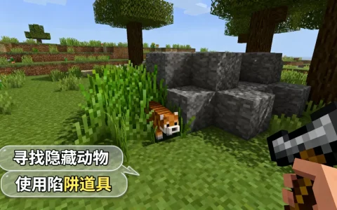 我的世界EC服务器动物躲猫猫如何打动物？,怎么玩
