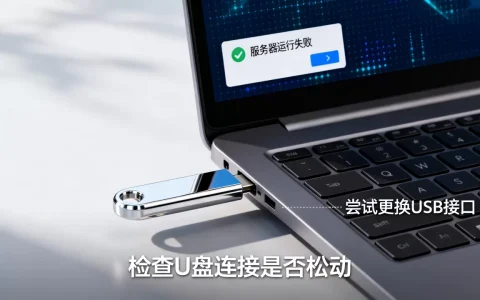 为什么U盘视频打开显示服务器运行失败？，怎么解决