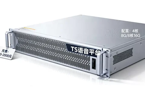 TS语音平台服务器多少钱一个月，怎么选？