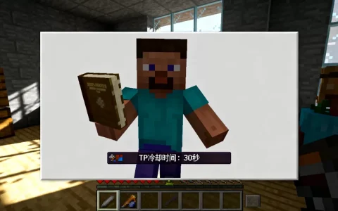 我的世界服务器TP冷却是多少, TP冷却时间怎么设置