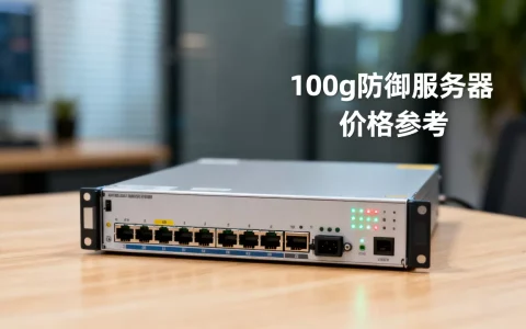 买100g防御服务器多少钱