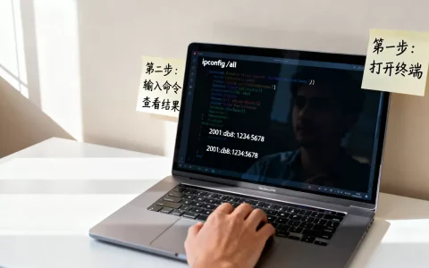 怎么查看服务器IPv6地址，具体步骤有哪些？