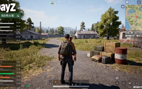 dayz一个服务器有多少人