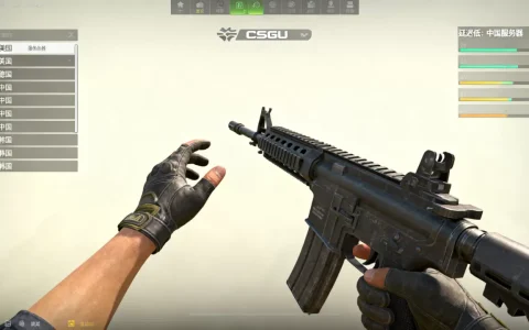 csgo有哪些国家有官方服务器，哪个服务器延迟低