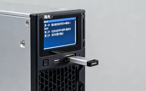 海光服务器U盘启动项怎么设置？，操作步骤有哪些