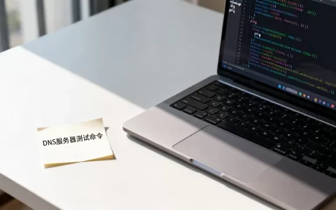 dns服务器的测试命令有哪些