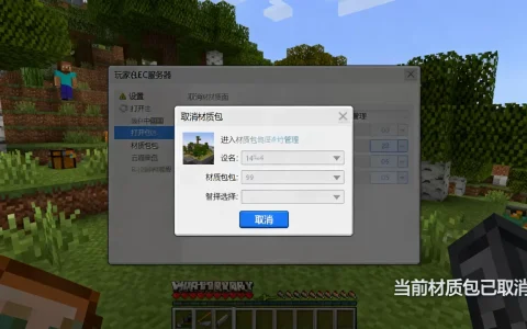 我的世界中国版ec服务器怎么取消材质包