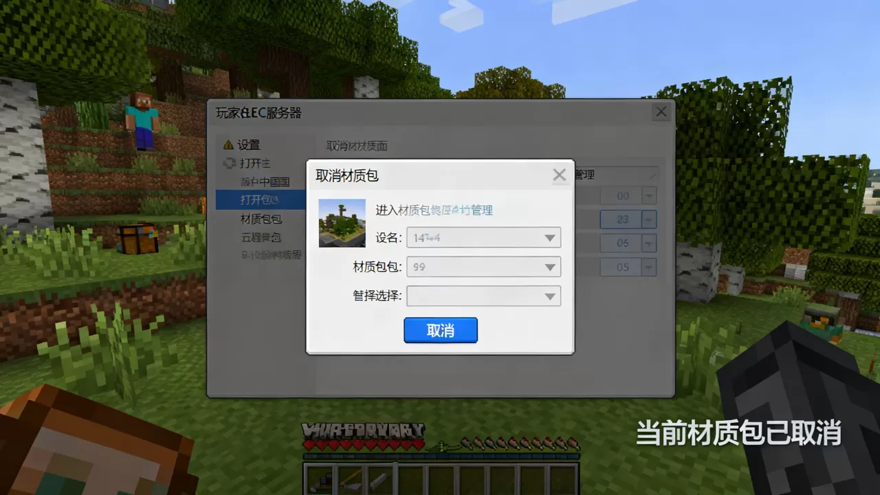 我的世界中国版ec服务器怎么取消材质包 我的世界中国版ec服务器怎么取消材质包