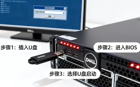 戴尔服务器设置U盘启动不了怎么办，怎么设置U盘启动？