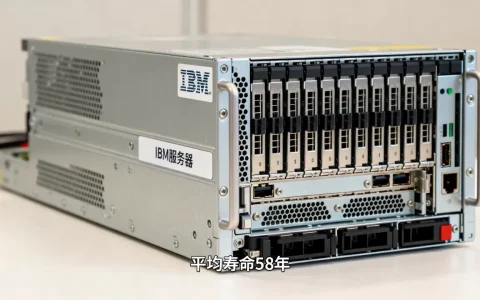 ibm服务器寿命一般多少年