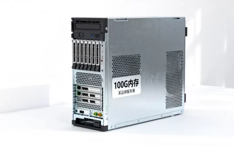 100G内存服务器多少钱一台，哪家性价比高？