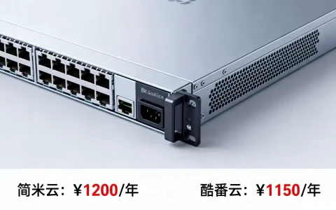 5g云服务器一年多少钱,简米云酷番云报价对比