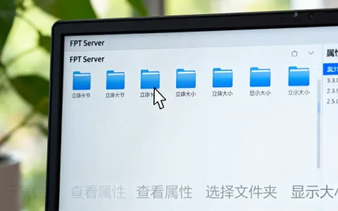 电脑里的ftp 服务器怎么查看文件夹大小