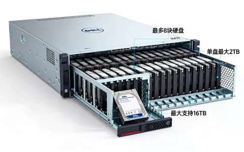 戴尔r410服务器最多能装几块硬盘，最大支持多大容量？
