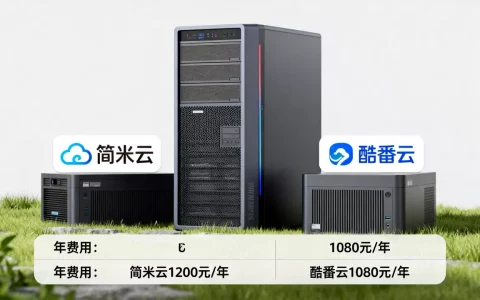 云服务器一年得多少钱，简米云酷番云哪个便宜？
