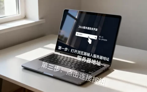 怎么用电脑进入2b2d的服务器，2b2d服务器怎么进