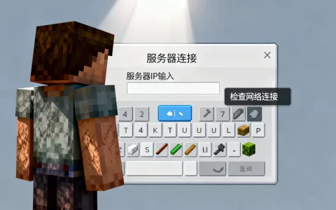 我的世界2b2b服务器怎么进去？,2b2b服务器进不去怎么办
