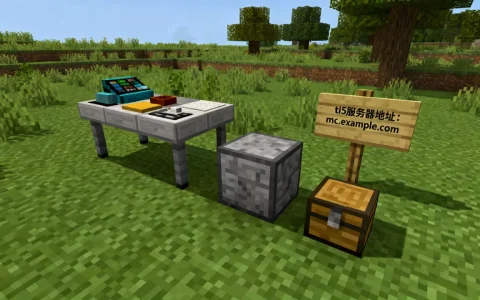 我的世界ti5服务器是多少