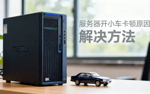 魅蓝NT5服务器开小车卡顿怎么办，是什么原因