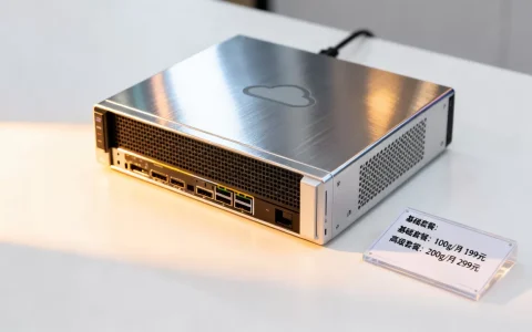 简米云服务器100g多少钱，有哪些收费套餐？