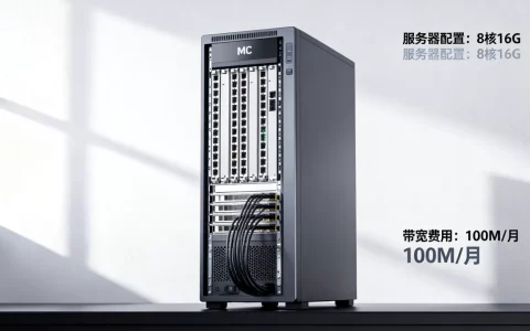 java版mc开服务器要多少钱