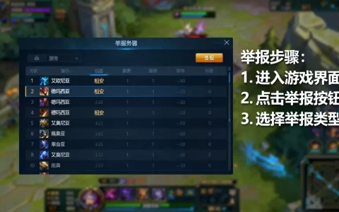 英雄联盟哪些服务器有举报权限，怎么举报最有效？