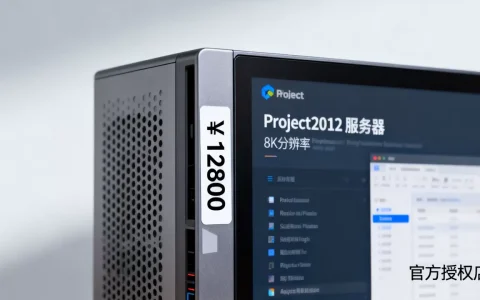 Project2012服务器版到底多少钱，哪里买最便宜？