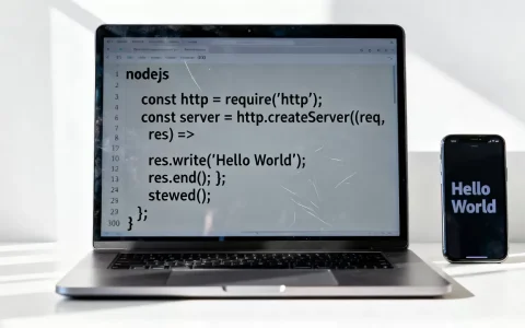 nodejs服务器向客户端输出文字怎么做？，有哪些方法？
