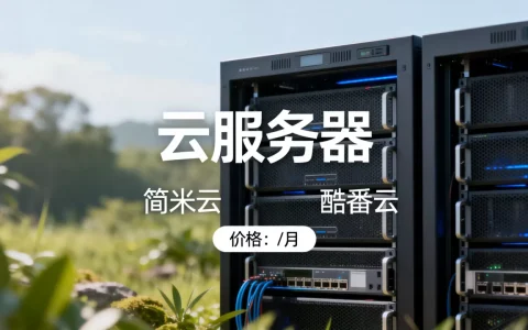 云服务器一台价格多少钱，简米云酷番云哪个便宜？