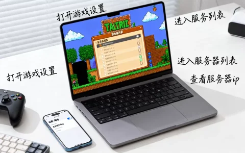 泰拉瑞亚怎么看服务器ip，服务器ip查询方法是什么？