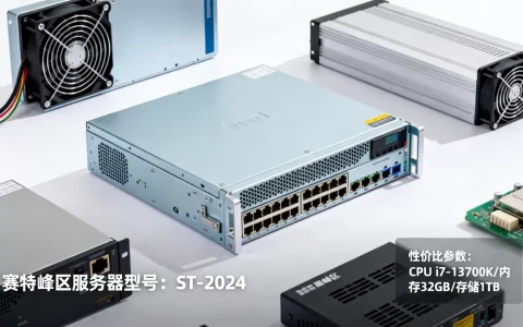 赛特峰区服务器有哪些？如何挑选性价比高的？
