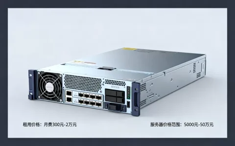 服务器最大多少钱一个？,服务器租用价格贵吗