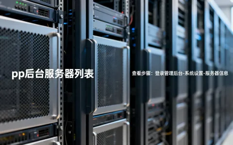 pp后台服务器有哪些？,怎么查看完整列表？