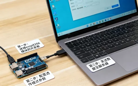 esp8266透传后怎么发数据到服务器？，步骤是什么