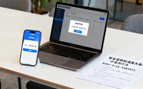 管家婆物联通服务器IP怎么看？，在哪里查询地址