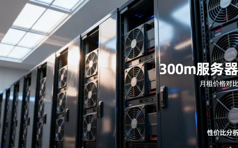 香港300m网站服务器月租多少钱，哪家性价比高？